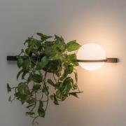 Vibia Palma 3702 vegglampe, plantekrukke, grafitt