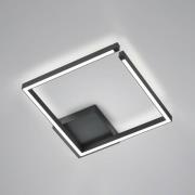 Yoko LED taklampe, opp/ned, 40x40 cm, svart