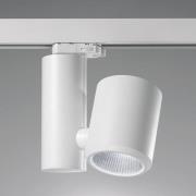 EGG DLS LED-skinnespot Kent, hvit, 4 000 K 26°