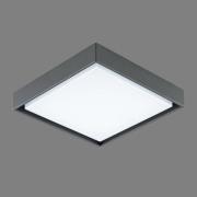 EVN LED utendørs taklampe Tectum, 24x24 cm, antrasitt, 110°, 110