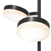 Maytoni Fad LED-gulvlampe med dimmer, svingbar