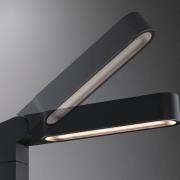 Paulmann Plug & Shine LED-veilampe, vertikal, IP65