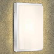 Utendørs LED-vegglampe Julea, stål, glass