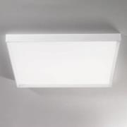 Tara mega LED-taklampe, 89 cm x 89 cm