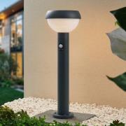 Lindby Kallie LED-solcelleveilampe med sensor