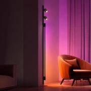 Philips Hue Perifo 2x Spots, Gradient Tube svart