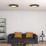 Shiitake LED-taklampe, svart/gull