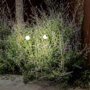 LED-sokkellampe Cuca, svart, stål/glass, høyde 65 cm