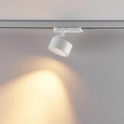 Molto Luce LED 3-faset skinnespot Magis, hvit, 830