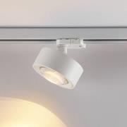 Molto Luce LED 3-faset skinnespot Mag, hvit, 827