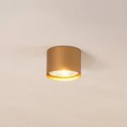 Downlight Chloe fast, gull