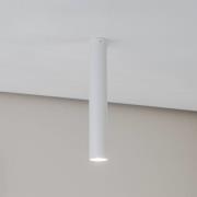 Euluna Thalassa Downlight 1 lyskilde hvit høyde 40 cm