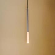 Euluna Thalassa hengelampe 1 lyskilde G9 svart/kobber