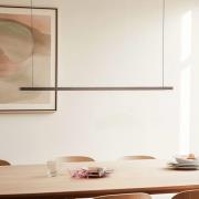 Quitani Talon LED-pendellampe bronseanodisert 24W