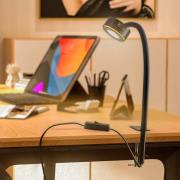 Lindby skruklemmelampe Jyla, svart, 2700 K, GX53