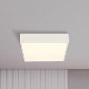 LED-taklampe til bad Zeus, hvit, lengde 30 cm, metall