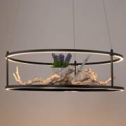 Paul Neuhaus LED-pendellampe Contura, svart, Ø 50 cm