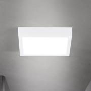 LED-taklampe Disc, hvit, lengde 14 cm, CCT, metall