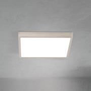 LED-taklampe Disc, nikkelfarget satinert Lengde 24 cm CCT