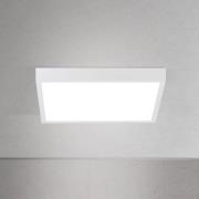 LED-taklampe Disc, hvit, lengde 24 cm, CCT, metall