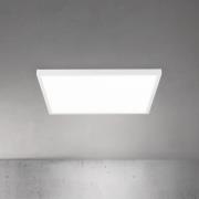 LED-taklampe Disc, hvit, lengde 60 cm, CCT, metall