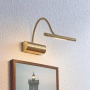 Rakel LED-bildelampe, fleksibel arm, matt messing