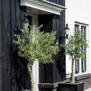 Nostalgisk Edam M utendørs vegglampe, grønn/kobber