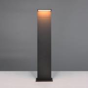 LED-veilampe Ravi, antrasitt, høyde 100 cm, metall, IP65