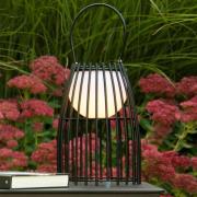 LED-bordlampe Fjara, svart