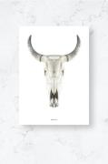 MalerifabrikkenPoster / Cow skull / PlanoHvitPostereFra Homeroom