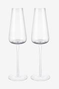 BlomusBelo Champagneglass 20 cl 2-pakning KlarTransparentVinglassFra H...