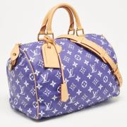 Pre-owned Leather louis-vuitton-bags