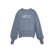 Elegant Jilli Sweatshirt Faded Denim