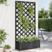 vidaXL Plantekasse med espalier svart heltre gran