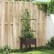 vidaXL Plantekasse med espalier brun 40x40x142,5 cm PP