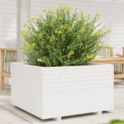 vidaXL Plantekasse hvit 80x80x49,5 cm heltre furu