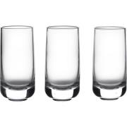 Zone Shooter shots-glass Rocks, 5 cl / 8 cm, 3 stk