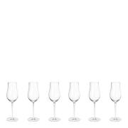 Georg Jensen - Sky champagneglass flute 25 cl 6 stk