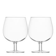 LSA International - Craft Beer Bar ølglass 55 cl 2 stk