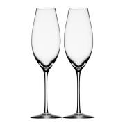 Orrefors - Difference Sparkling Champagneglass 32 cl 2 stk