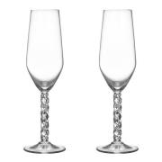 Orrefors - Carat champagneglass 24 cl 2 stk