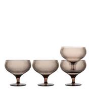 Sagaform - Billi champagneglass 40 cl 4 stk brun