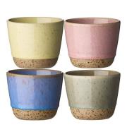 Aida - RAW Colour krus 20 cl 4 stk mix