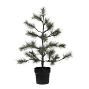 House Doctor - Peuce juletre 75 cm natur