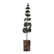 House Doctor - Pine juletre 15 cm grønn