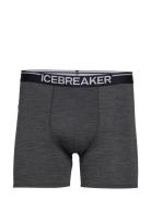 M Anatomica Boxers Boksershorts Grey Icebreaker