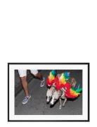 Poster Rainbow Dogs Home Decoration Posters & Frames Posters Photograp...