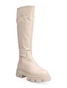 Mana Boot Høye Støvletter Beige Steve Madden