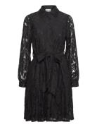 Pixi Shirt Dress Lace Kort Kjole Black Noella