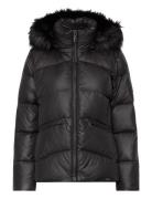 Essential Real Down Jacket Fôret Jakke Black Calvin Klein